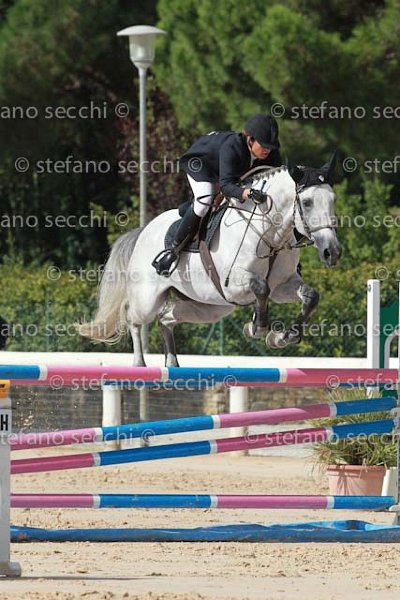 DE VINCENZI_SIRE_GIO CAV 2011_(0783) SS3_1891.jpg